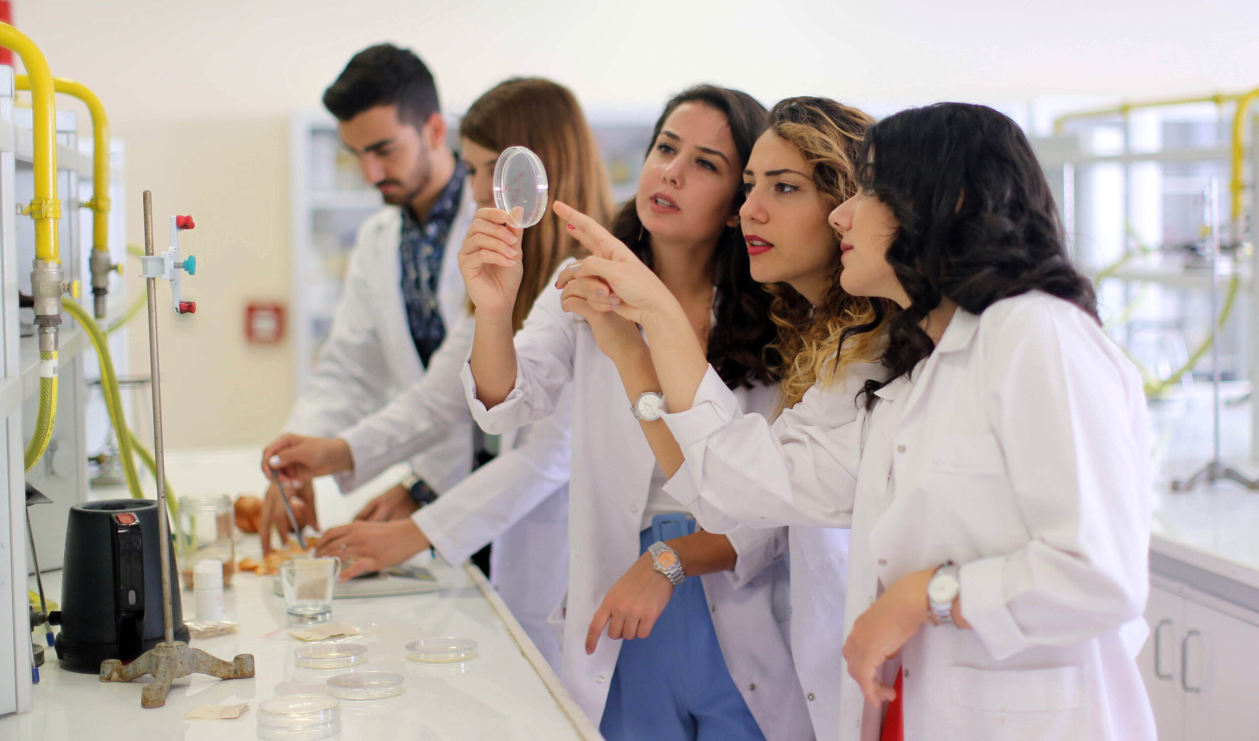 Gaziantep Üniversitesi Gıda Mühendisliği Bölümü MÜDEK’ten bir kez daha geçti