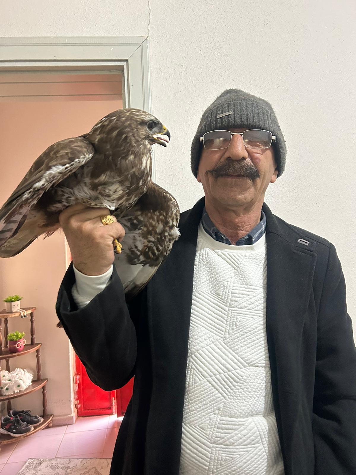 Gaziantep'te yaralı bulunan kızıl şahin, tedavi altına alındı.