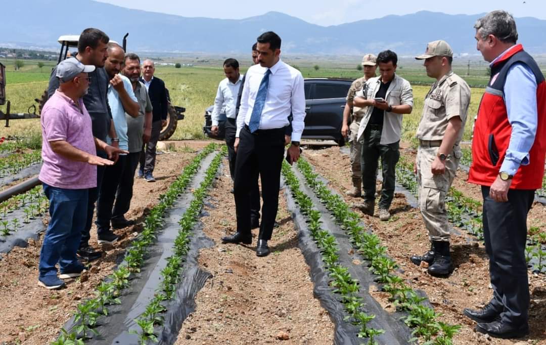 İslahiye Kaymakamı Soylu, kırmızıbiber üreticilerini tarlada ziyaret etti