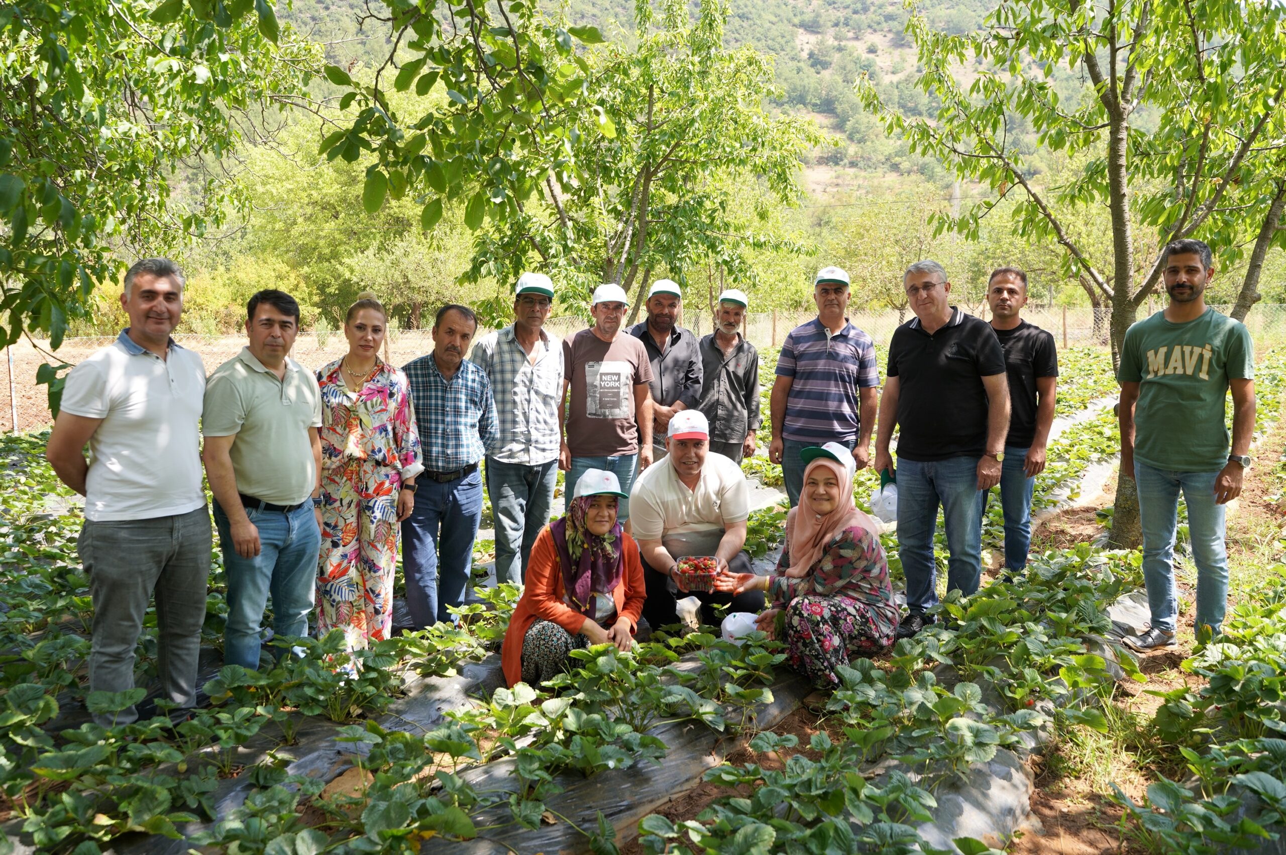 Çilek yetiştiriciliği Gaziantepli depremzede kadınların kazanç kapısı oldu
