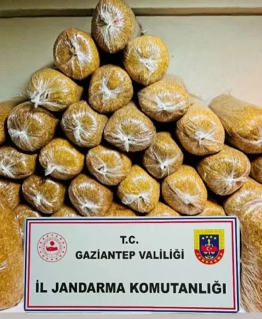 Gaziantep'te kaçakçılık operasyonunda 38 kişi yakalandı 117 AA-20250322-37419530-37419527-GAZIANTEPTE_KACAKCILIK_OPERASYONUNDA_38_KISI_YAKALANDI