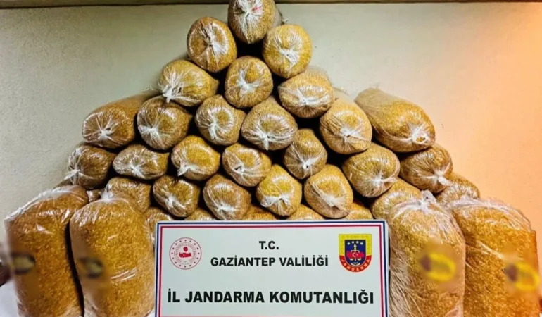 Gaziantep'te kaçakçılık operasyonunda 38 kişi yakalandı 116 AA-20250322-37419530-37419527-GAZIANTEPTE_KACAKCILIK_OPERASYONUNDA_38_KISI_YAKALANDI