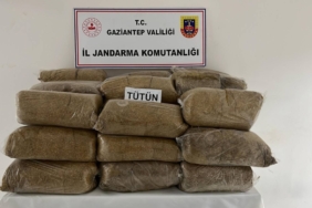 Gaziantep'te kaçakçılık operasyonunda 38 kişi yakalandı