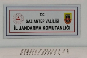 Gaziantep'te tarihi eser niteliğinde 105 sikke ele geçirildi