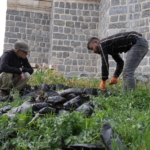 Avrupa'da yaşayan Keldaniler yıllar önce terk ettikleri Şırnak'taki köylerine geri dönüyor 23 Avrupa'da yaşayan Keldaniler yıllar önce terk ettikleri Şırnak'taki köylerine geri dönüyor