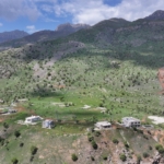 Avrupa'da yaşayan Keldaniler yıllar önce terk ettikleri Şırnak'taki köylerine geri dönüyor 7 Avrupa'da yaşayan Keldaniler yıllar önce terk ettikleri Şırnak'taki köylerine geri dönüyor