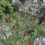 Avrupa'da yaşayan Keldaniler yıllar önce terk ettikleri Şırnak'taki köylerine geri dönüyor 10 Avrupa'da yaşayan Keldaniler yıllar önce terk ettikleri Şırnak'taki köylerine geri dönüyor