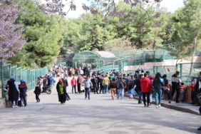 Gaziantep Doğal Yaşam Parkı, bayram tatilinde 150 bin ziyaretçiyi ağırladı