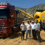 Araban Ovası'nda yılın ilk buğday hasadı yapıldı 4 Araban Ovası'nda yılın ilk buğday hasadı yapıldı