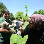 Gaziantep Doğal Yaşam Parkı'nın yeni sakini ayı yavrusu "Boncuk"a özenle bakılıyor 31 Gaziantep Doğal Yaşam Parkı'nın yeni sakini ayı yavrusu "Boncuk"a özenle bakılıyor