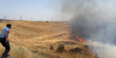 Gaziantep'te 300 dönümlük alanda çıkan anız yangını söndürüldü