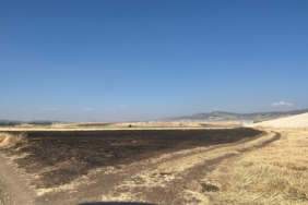 Gaziantep'te anız yakan kişiye para cezası