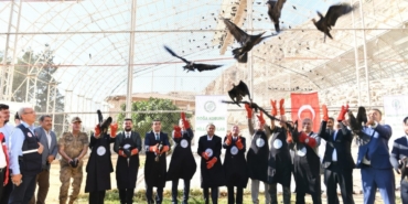 Şanlıurfa'da koruma altındaki 45 kelaynak göç etmeleri için doğaya bırakıldı 6 Şanlıurfa'da koruma altındaki 45 kelaynak göç etmeleri için doğaya bırakıldı