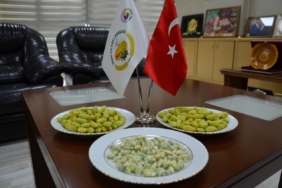 Yılın ilk Antep fıstığı yetiştiricisi altınla ödüllendirildi