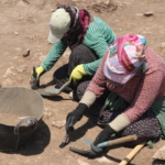 Diyarbakır'da 12 bin yıllık Çayönü Tepesi'nde dört yapı ve su kanalı bulundu 7 Diyarbakır'da 12 bin yıllık Çayönü Tepesi'nde dört yapı ve su kanalı bulundu