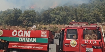 Gaziantep'te çıkan orman yangını kontrol altına alındı