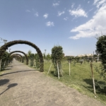 Gaziantep'te sıcak hava etkisini sürdürüyor