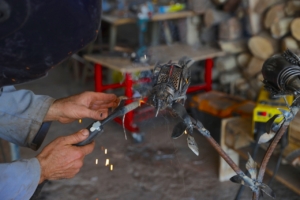 Doğa bilinci için metal atıklarla nesli tükenen Kauai kuşu heykeli yaptı