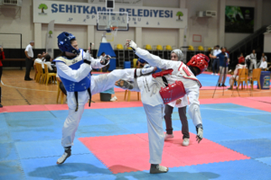 Gaziantep'te "İller Arası Ümitler Tekvando Şampiyonası" başladı