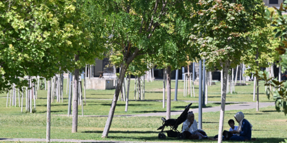 Gaziantep'te sıcak hava etkisini sürdürüyor 79 Gaziantep’te sıcak hava etkisini sürdürüyor