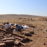Göbeklitepe'den önce inşa edildiği düşünülen Mendik Tepe gün yüzüne çıkarılıyor 10 Göbeklitepe'den önce inşa edildiği düşünülen Mendik Tepe gün yüzüne çıkarılıyor