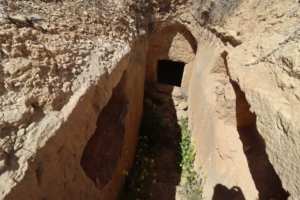 Şanlıurfa'da bulunan kaya mezarı kayıt altına alındı