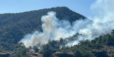 Gaziantep'te çıkan orman yangınında 1 hektar alan zarar gördü