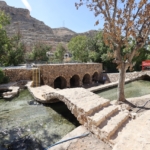 Mardin'de tarihi değirmen temizlenirken yaklaşık 1500 yıllık mozaik bulundu 6 Mardin'de tarihi değirmen temizlenirken yaklaşık 1500 yıllık mozaik bulundu