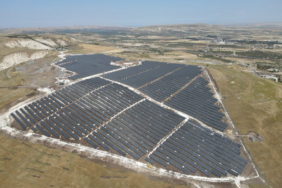 Şanlıurfa'da çizgili sırtlan güvenlik kamerasınca görüntülendi