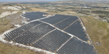 Şanlıurfa'da çizgili sırtlan güvenlik kamerasınca görüntülendi