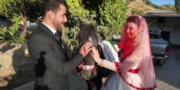 Şırnak'ta atla gelin alma geleneği yaşatılıyor