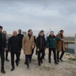 PHOTO-2025-11-27-19-13-37