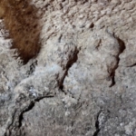 Adıyaman'daki Tharsa Antik Kenti'nde 1800 yıllık oda mezarı bulundu