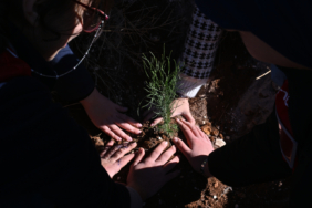 Gaziantep Şehitkamil'de 330 m2 avlulu kargir ev icradan satılıktır (çoklu satış) 1 thumbnail