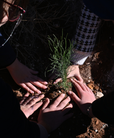 Gaziantep'te Gazze'ye destek için 120 fidan dikildi
