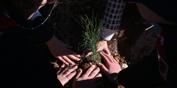Gaziantep'te Gazze'ye destek için 120 fidan dikildi