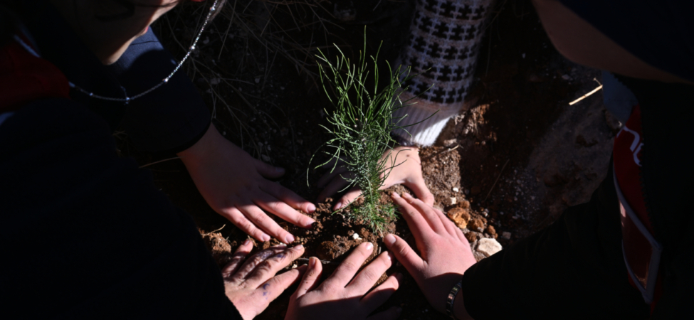Gaziantep'te Gazze'ye destek için 120 fidan dikildi