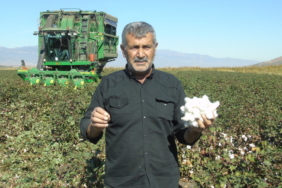 Gaziantep'te aile içi silahlı kavgada eşini öldüren zanlı tutuklandı 1 thumbnail