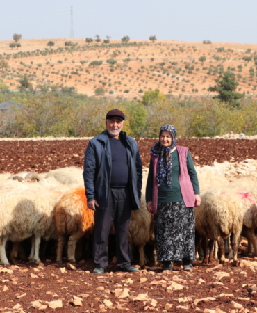 İkinci baharlarında belediyeden aldıkları destekle besici oldular