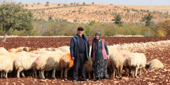İkinci baharlarında belediyeden aldıkları destekle besici oldular