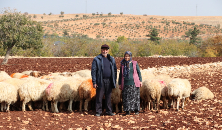 İkinci baharlarında belediyeden aldıkları destekle besici oldular