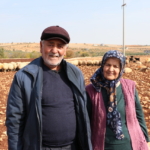 İkinci baharlarında belediyeden aldıkları destekle besici oldular 5 İkinci baharlarında belediyeden aldıkları destekle besici oldular