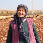 İkinci baharlarında belediyeden aldıkları destekle besici oldular 4 İkinci baharlarında belediyeden aldıkları destekle besici oldular