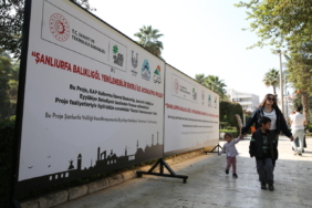 Balıklıgöl'de aydınlatma yenilenebilir enerjiyle güçlendiriliyor 50 Balıklıgöl'de aydınlatma yenilenebilir enerjiyle güçlendiriliyor