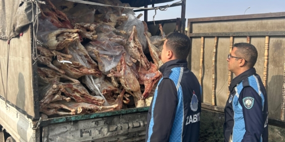Gaziantep'te 1 ton 900 kilogram bozulmuş et imha edildi