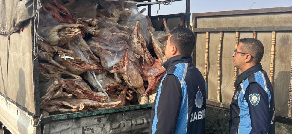 Gaziantep'te 1 ton 900 kilogram bozulmuş et imha edildi 4 Gaziantep'te 1 ton 900 kilogram bozulmuş et imha edildi
