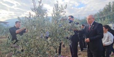 Şehitler için dikilen zeytin fidanlarının geliri TSK Güçlendirme Vakfı'na bağışlandı