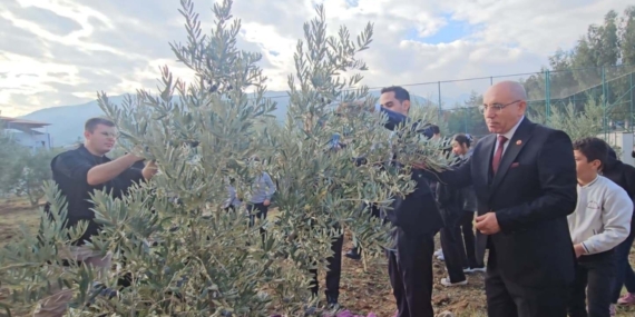 Şehitler için dikilen zeytin fidanlarının geliri TSK Güçlendirme Vakfı'na bağışlandı