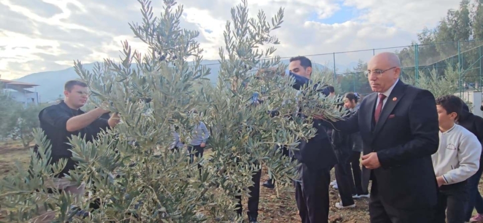 Şehitler için dikilen zeytin fidanlarının geliri TSK Güçlendirme Vakfı'na bağışlandı