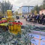 Şehitler için dikilen zeytin fidanlarının geliri TSK Güçlendirme Vakfı'na bağışlandı